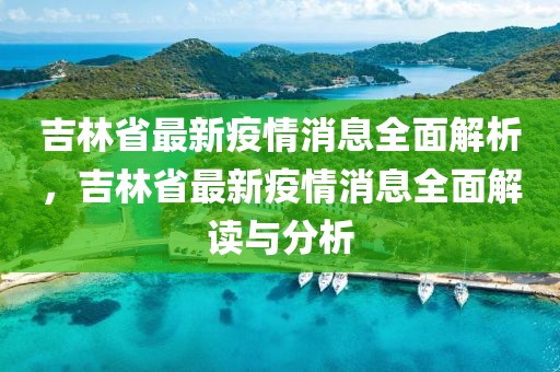 吉林省最新疫情消息全面解析，吉林省最新疫情消息全面解讀與分析