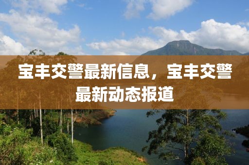 寶豐交警最新信息，寶豐交警最新動態(tài)報道