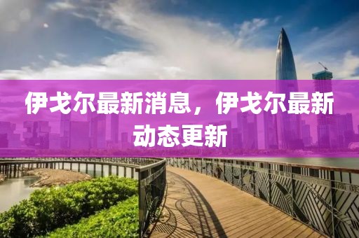伊戈爾最新消息，伊戈爾最新動態(tài)更新