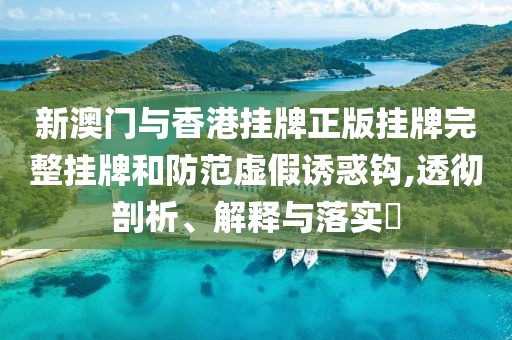 新澳門與香港掛牌正版掛牌完整掛牌和防范虛假誘惑鉤,透徹剖析、解釋與落實?