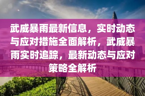 武威暴雨最新信息，實(shí)時(shí)動(dòng)態(tài)與應(yīng)對(duì)措施全面解析，武威暴雨實(shí)時(shí)追蹤，最新動(dòng)態(tài)與應(yīng)對(duì)策略全解析