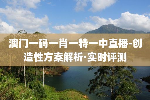 澳門一碼一肖一特一中直播-創(chuàng)造性方案解析·實時評測