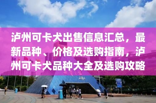 瀘州可卡犬出售信息匯總，最新品種、價(jià)格及選購指南，瀘州可卡犬品種大全及選購攻略