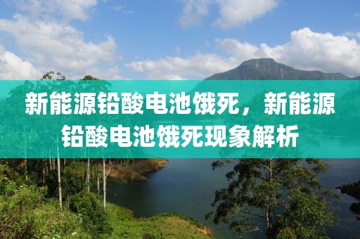 新能源鉛酸電池餓死，新能源鉛酸電池餓死現(xiàn)象解析