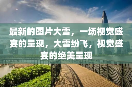 最新的圖片大雪，一場(chǎng)視覺(jué)盛宴的呈現(xiàn)，大雪紛飛，視覺(jué)盛宴的絕美呈現(xiàn)