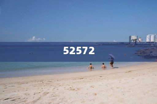 王中王72396.cσm.72326查詢精選16碼一,詳細(xì)解答、解釋與落實(shí)-防范虛假的誘餌