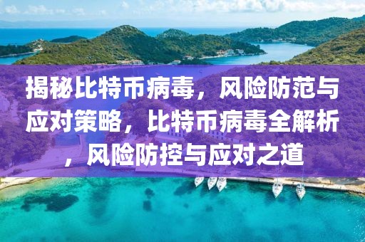 揭秘比特幣病毒，風(fēng)險(xiǎn)防范與應(yīng)對(duì)策略，比特幣病毒全解析，風(fēng)險(xiǎn)防控與應(yīng)對(duì)之道