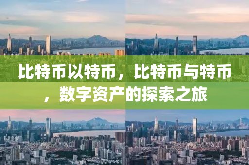 比特幣以特幣，比特幣與特幣，數(shù)字資產(chǎn)的探索之旅