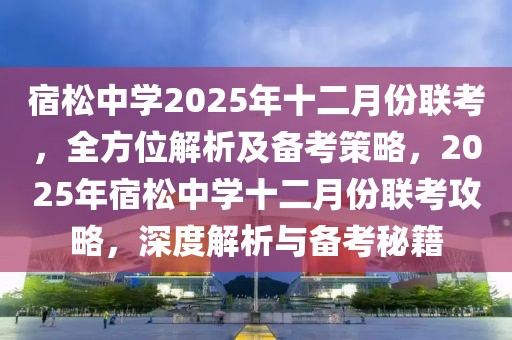 宿松中學(xué)2025年十二月份聯(lián)考，全方位解析及備考策略，2025年宿松中學(xué)十二月份聯(lián)考攻略，深度解析與備考秘籍