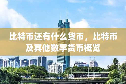 比特幣還有什么貨幣，比特幣及其他數(shù)字貨幣概覽