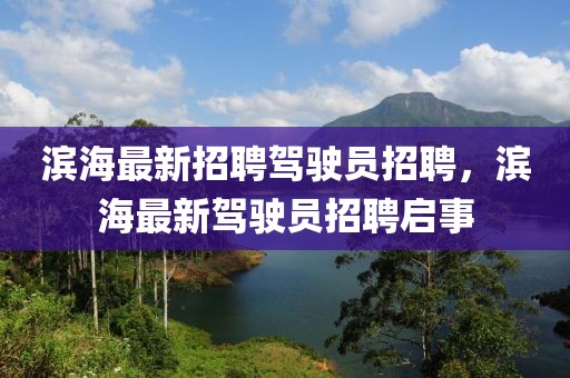 濱海最新招聘駕駛員招聘，濱海最新駕駛員招聘啟事