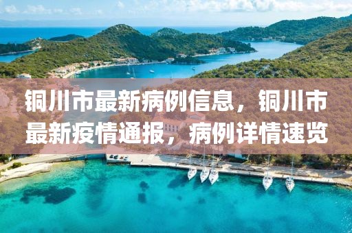 銅川市最新病例信息，銅川市最新疫情通報(bào)，病例詳情速覽