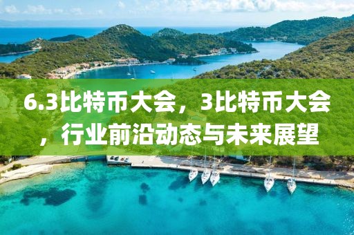 6.3比特幣大會，3比特幣大會，行業(yè)前沿動態(tài)與未來展望