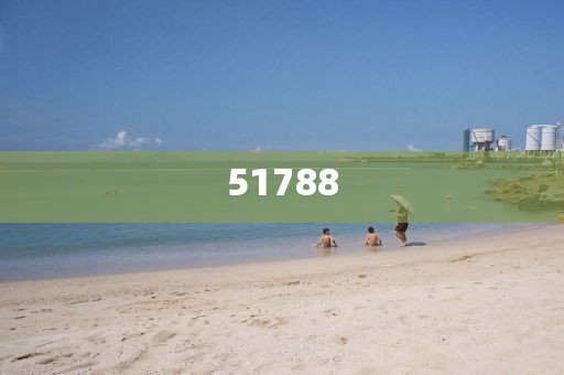 新澳門及香港2025精準(zhǔn)正版和留心偽假宣傳危害:全面釋義、解釋與落實(shí)