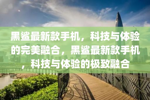 黑鯊最新款手機(jī)，科技與體驗的完美融合，黑鯊最新款手機(jī)，科技與體驗的極致融合