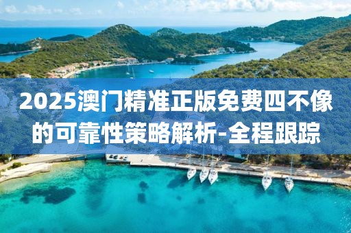 2025澳門精準正版免費四不像的可靠性策略解析-全程跟蹤