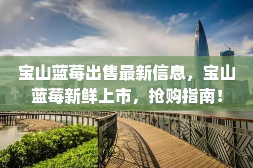 寶山藍(lán)莓出售最新信息，寶山藍(lán)莓新鮮上市，搶購(gòu)指南！