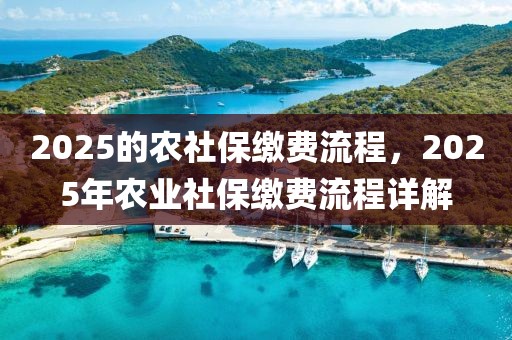 2025的農(nóng)社保繳費(fèi)流程，2025年農(nóng)業(yè)社保繳費(fèi)流程詳解