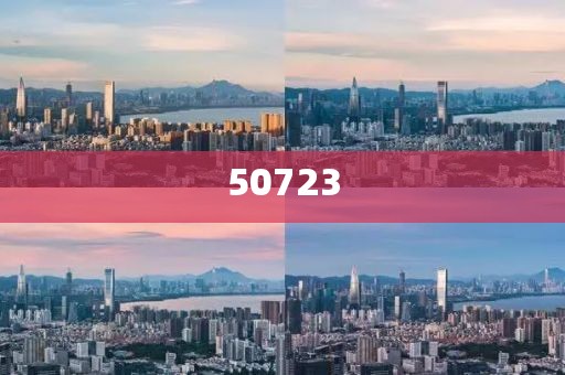 新澳2025精準(zhǔn)正版的高速方案響應(yīng)解析-快速洞察