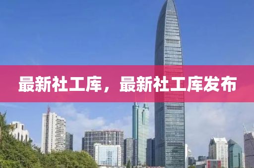 最新社工庫(kù)，最新社工庫(kù)發(fā)布