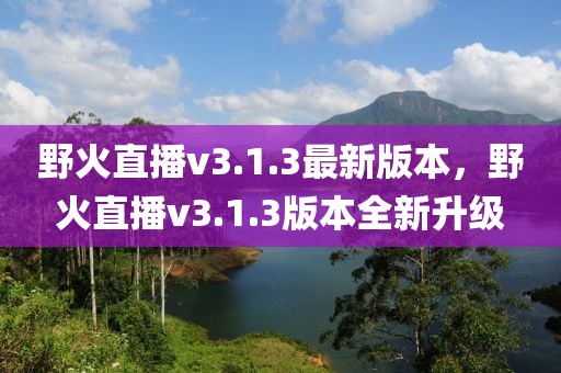 野火直播v3.1.3最新版本，野火直播v3.1.3版本全新升級(jí)