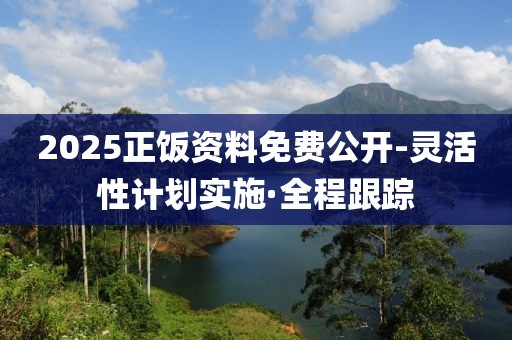 2025正飯資料免費(fèi)公開-靈活性計(jì)劃實(shí)施·全程跟蹤