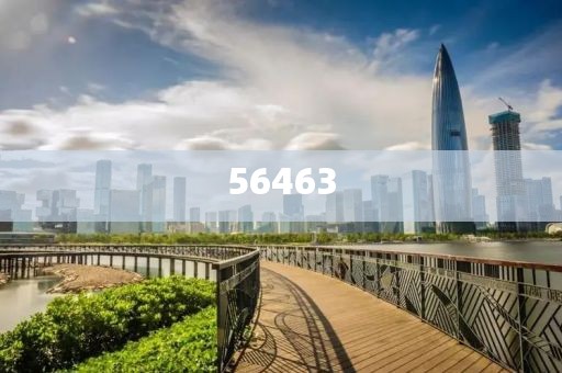 一肖一碼100-準(zhǔn)資料-詳細解答、解釋與落實