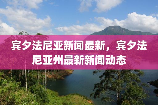 賓夕法尼亞新聞最新，賓夕法尼亞州最新新聞動(dòng)態(tài)