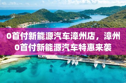 0首付新能源汽車漳州店，漳州0首付新能源汽車特惠來襲