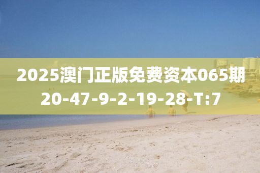 2025年3月7日 第45頁