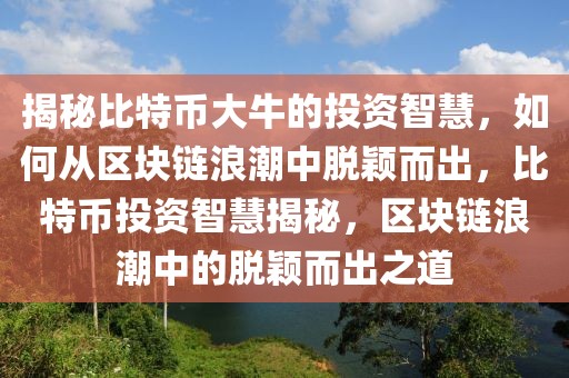 揭秘比特幣大牛的投資智慧，如何從區(qū)塊鏈浪潮中脫穎而出，比特幣投資智慧揭秘，區(qū)塊鏈浪潮中的脫穎而出之道