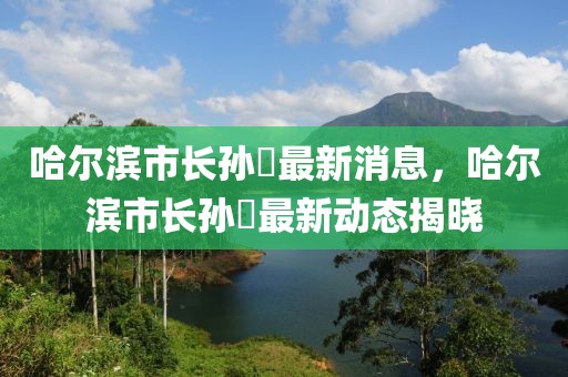 哈爾濱市長(zhǎng)孫喆最新消息，哈爾濱市長(zhǎng)孫喆最新動(dòng)態(tài)揭曉
