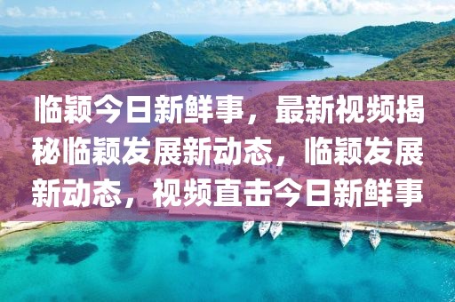 臨穎今日新鮮事，最新視頻揭秘臨穎發(fā)展新動(dòng)態(tài)，臨穎發(fā)展新動(dòng)態(tài)，視頻直擊今日新鮮事