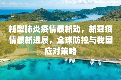 新型肺炎疫情最新動，新冠疫情最新進展，全球防控與我國應(yīng)對策略