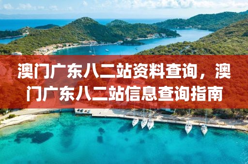 澳門廣東八二站資料查詢，澳門廣東八二站信息查詢指南