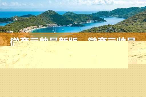微商元帥最新版，微商元帥最新版軟件介紹及功能特點