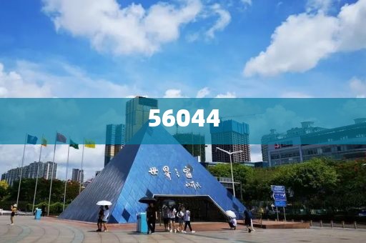 ST金鴻最新消息全面解析，ST金鴻最新動態(tài)全面解讀