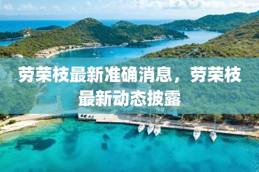 勞榮枝最新準(zhǔn)確消息，勞榮枝最新動(dòng)態(tài)披露