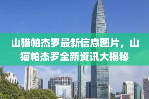 山貓帕杰羅最新信息圖片，山貓帕杰羅全新資訊大揭秘