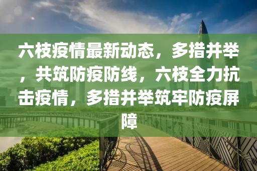 六枝疫情最新動態(tài)，多措并舉，共筑防疫防線，六枝全力抗擊疫情，多措并舉筑牢防疫屏障