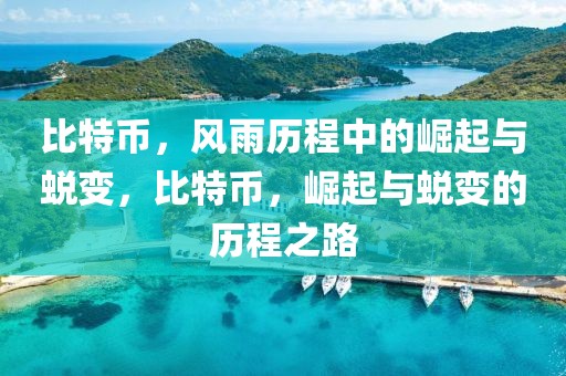 比特幣，風(fēng)雨歷程中的崛起與蛻變，比特幣，崛起與蛻變的歷程之路