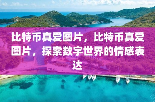比特幣真愛圖片，比特幣真愛圖片，探索數(shù)字世界的情感表達