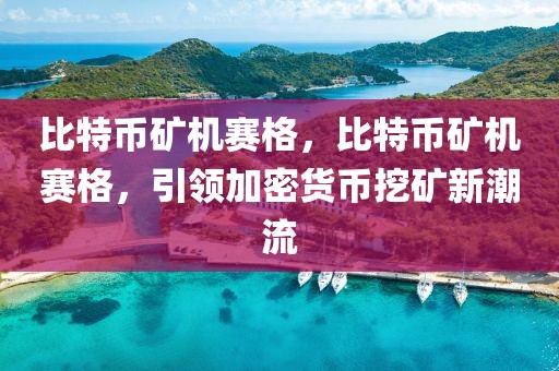 比特幣礦機(jī)賽格，比特幣礦機(jī)賽格，引領(lǐng)加密貨幣挖礦新潮流