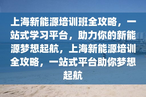 上海新能源培訓班全攻略，一站式學習平臺，助力你的新能源夢想起航，上海新能源培訓全攻略，一站式平臺助你夢想起航