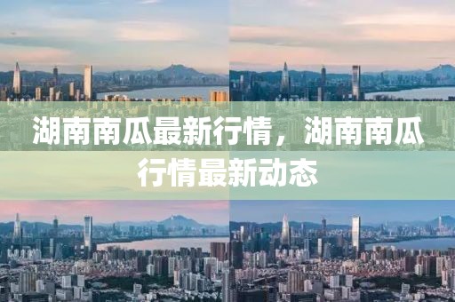 湖南南瓜最新行情，湖南南瓜行情最新動態(tài)