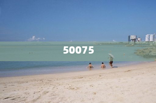 2025澳門最精準正版免費大全的現(xiàn)狀解讀說明-全程規(guī)劃