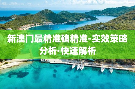 新澳門最精準確精準-實效策略分析·快速解析