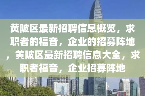 黃陂區(qū)最新招聘信息概覽，求職者的福音，企業(yè)的招募陣地，黃陂區(qū)最新招聘信息大全，求職者福音，企業(yè)招募陣地