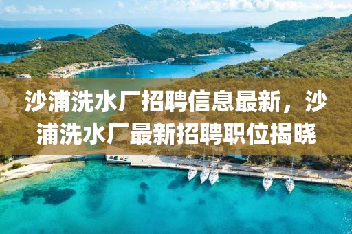沙浦洗水廠招聘信息最新，沙浦洗水廠最新招聘職位揭曉