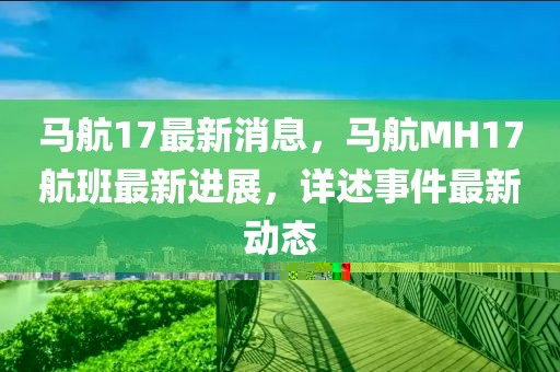 馬航17最新消息，馬航MH17航班最新進展，詳述事件最新動態(tài)